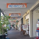 千葉市、改装された「真砂第三ショッピングセンター」と中央商店街？